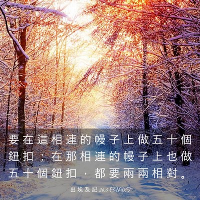 Picture 03 - 出 埃 及 記 26:5 CUVT - 要 在 這 相 連 的 幔 子 上 做 五 十 - Bible Verse Picture