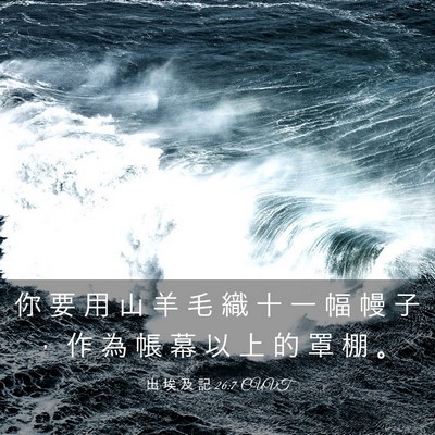 Picture 03 - 出 埃 及 記 26:7 CUVT - 你 要 用 山 羊 毛 織 十 一 幅 幔 子 - Bible Verse Picture