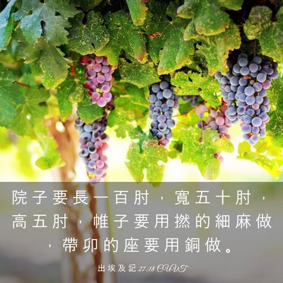 Picture 03 - 出 埃 及 記 27:18 CUVT - 院 子 要 長 一 百 肘 ， 寬 五 十 肘 - Bible Verse Picture