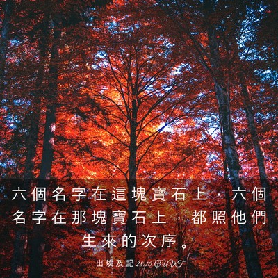 Picture 03 - 出 埃 及 記 28:10 CUVT - 六 個 名 字 在 這 塊 寶 石 上 ， 六 - Bible Verse Picture