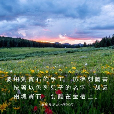 Picture 03 - 出 埃 及 記 28:11 CUVT - 要 用 刻 寶 石 的 手 工 ， 彷 彿 刻 - Bible Verse Picture