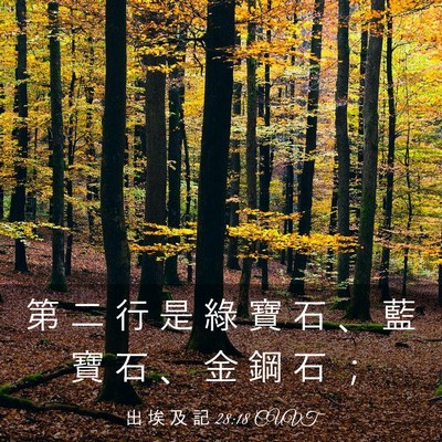 Picture 03 - 出 埃 及 記 28:18 CUVT - 第 二 行 是 綠 寶 石 、 藍 寶 石 、 - Bible Verse Picture