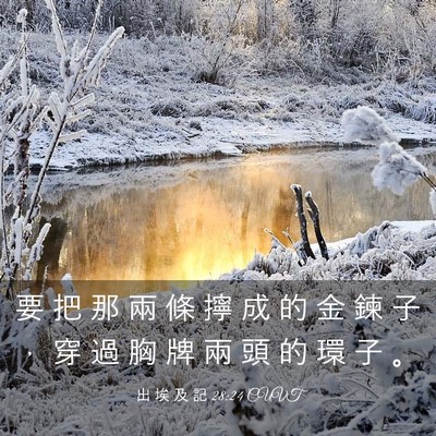 Picture 03 - 出 埃 及 記 28:24 CUVT - 要 把 那 兩 條 擰 成 的 金 鍊 子 ， - Bible Verse Picture