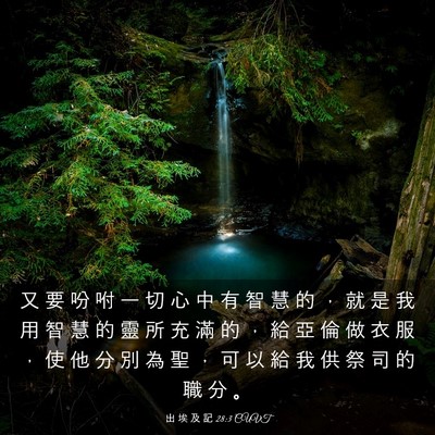 Picture 03 - 出 埃 及 記 28:3 CUVT - 又 要 吩 咐 一 切 心 中 有 智 慧 的 - Bible Verse Picture