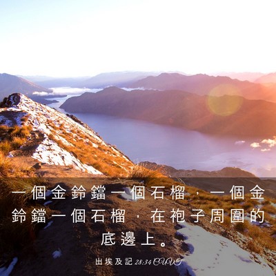Picture 03 - 出 埃 及 記 28:34 CUVT - 一 個 金 鈴 鐺 一 個 石 榴 ， 一 個 - Bible Verse Picture