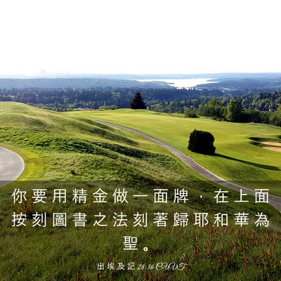 Picture 03 - 出 埃 及 記 28:36 CUVT - 你 要 用 精 金 做 一 面 牌 ， 在 上 - Bible Verse Picture