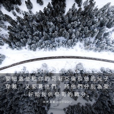 Picture 03 - 出 埃 及 記 28:41 CUVT - 要 把 這 些 給 你 的 哥 哥 亞 倫 和 - Bible Verse Picture