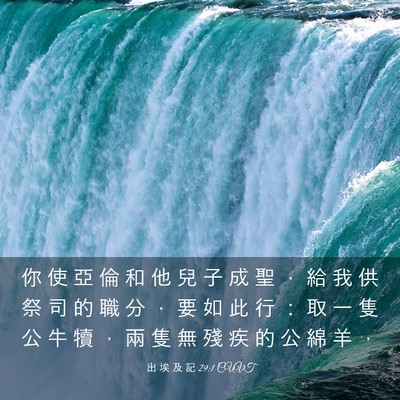 Picture 03 - 出 埃 及 記 29:1 CUVT - 你 使 亞 倫 和 他 兒 子 成 聖 ， 給 - Bible Verse Picture