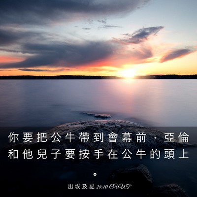 Picture 03 - 出 埃 及 記 29:10 CUVT - 你 要 把 公 牛 帶 到 會 幕 前 ， 亞 - Bible Verse Picture