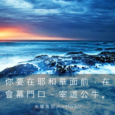 Picture 03 - 出 埃 及 記 29:11 CUVT - 你 要 在 耶 和 華 面 前 ， 在 會 幕 - Bible Verse Picture
