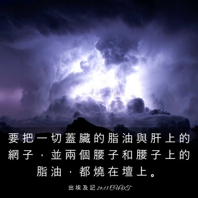 Picture 03 - 出 埃 及 記 29:13 CUVT - 要 把 一 切 蓋 臟 的 脂 油 與 肝 上 - Bible Verse Picture
