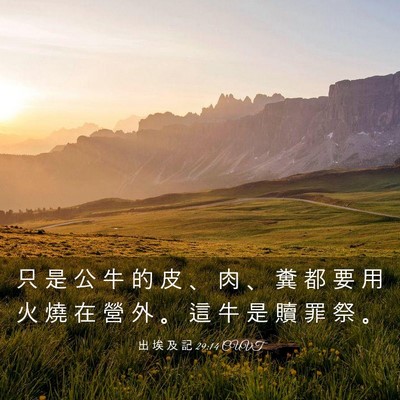 Picture 03 - 出 埃 及 記 29:14 CUVT - 只 是 公 牛 的 皮 、 肉 、 糞 都 要 - Bible Verse Picture
