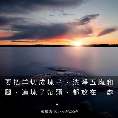 Picture 03 - 出 埃 及 記 29:17 CUVT - 要 把 羊 切 成 塊 子 ， 洗 淨 五 臟 - Bible Verse Picture