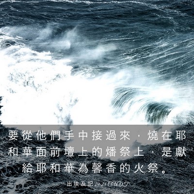 Picture 03 - 出 埃 及 記 29:25 CUVT - 要 從 他 們 手 中 接 過 來 ， 燒 在 - Bible Verse Picture