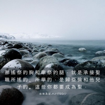Picture 03 - 出 埃 及 記 29:27 CUVT - 那 搖 祭 的 胸 和 舉 祭 的 腿 ， 就 - Bible Verse Picture