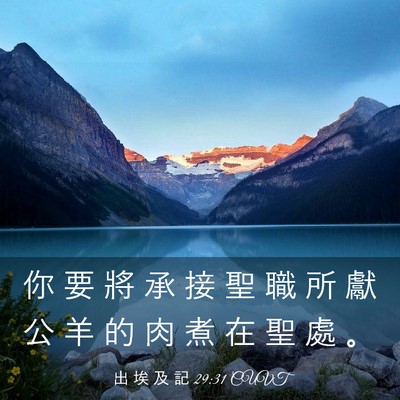 Picture 03 - 出 埃 及 記 29:31 CUVT - 你 要 將 承 接 聖 職 所 獻 公 羊 的 - Bible Verse Picture