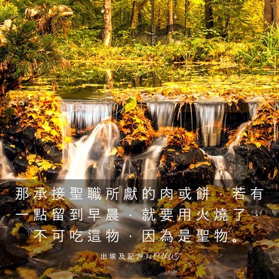 Picture 03 - 出 埃 及 記 29:34 CUVT - 那 承 接 聖 職 所 獻 的 肉 或 餅 ， - Bible Verse Picture