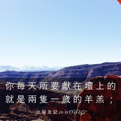 Picture 03 - 出 埃 及 記 29:38 CUVT - 你 每 天 所 要 獻 在 壇 上 的 就 是 - Bible Verse Picture
