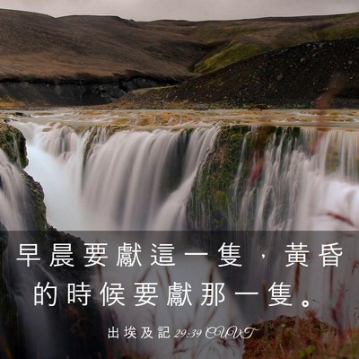 Picture 03 - 出 埃 及 記 29:39 CUVT - 早 晨 要 獻 這 一 隻 ， 黃 昏 的 時 - Bible Verse Picture