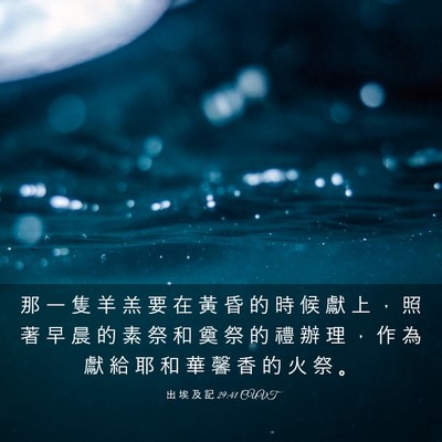 Picture 03 - 出 埃 及 記 29:41 CUVT - 那 一 隻 羊 羔 要 在 黃 昏 的 時 候 - Bible Verse Picture