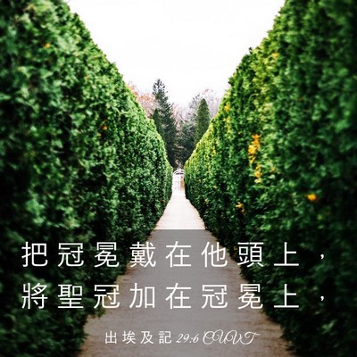 Picture 03 - 出 埃 及 記 29:6 CUVT - 把 冠 冕 戴 在 他 頭 上 ， 將 聖 冠 - Bible Verse Picture