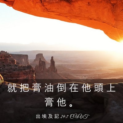 Picture 03 - 出 埃 及 記 29:7 CUVT - 就 把 膏 油 倒 在 他 頭 上 膏 他 - Bible Verse Picture