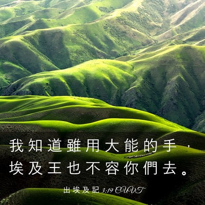 Picture 03 - 出 埃 及 記 3:19 CUVT - 我 知 道 雖 用 大 能 的 手 ， 埃 及 - Bible Verse Picture