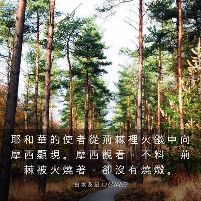 Picture 03 - 出 埃 及 記 3:2 CUVT - 耶 和 華 的 使 者 從 荊 棘 裡 火 燄 - Bible Verse Picture