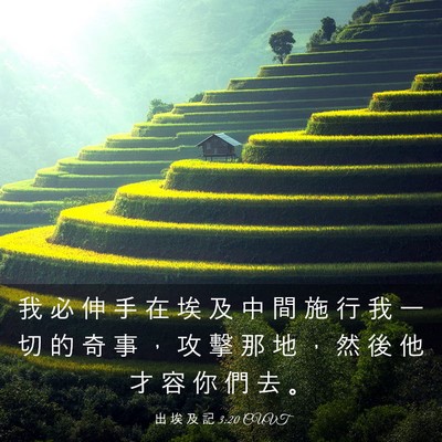 Picture 03 - 出 埃 及 記 3:20 CUVT - 我 必 伸 手 在 埃 及 中 間 施 行 我 - Bible Verse Picture
