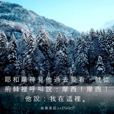 Picture 03 - 出 埃 及 記 3:4 CUVT - 耶 和 華 神 見 他 過 去 要 看 ， 就 - Bible Verse Picture