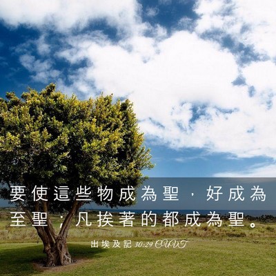 Picture 03 - 出 埃 及 記 30:29 CUVT - 要 使 這 些 物 成 為 聖 ， 好 成 為 - Bible Verse Picture