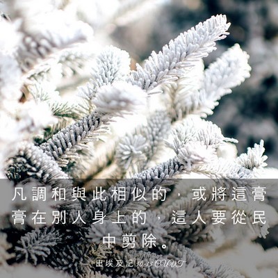 Picture 03 - 出 埃 及 記 30:33 CUVT - 凡 調 和 與 此 相 似 的 ， 或 將 這 - Bible Verse Picture