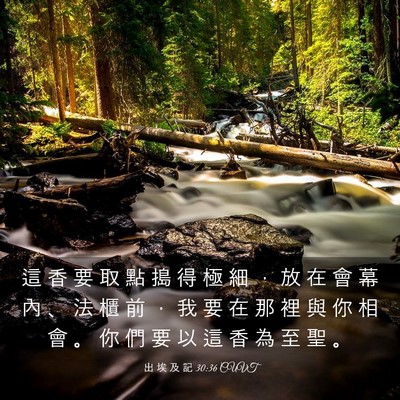Picture 03 - 出 埃 及 記 30:36 CUVT - 這 香 要 取 點 搗 得 極 細 ， 放 在 - Bible Verse Picture