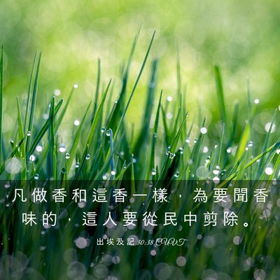 Picture 03 - 出 埃 及 記 30:38 CUVT - 凡 做 香 和 這 香 一 樣 ， 為 要 聞 - Bible Verse Picture