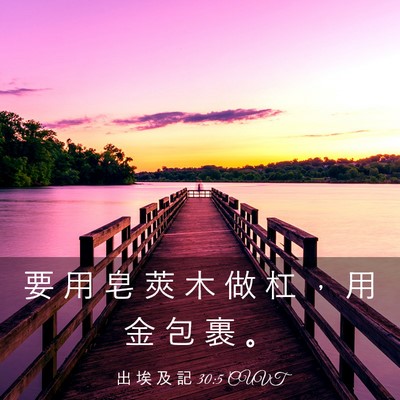 Picture 03 - 出 埃 及 記 30:5 CUVT - 要 用 皂 莢 木 做 杠 ， 用 金 包 裹 - Bible Verse Picture