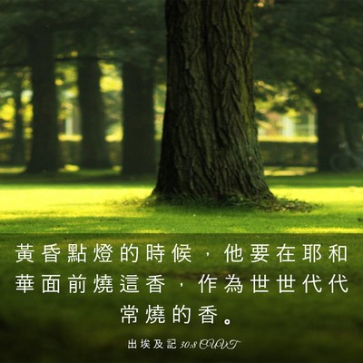 Picture 03 - 出 埃 及 記 30:8 CUVT - 黃 昏 點 燈 的 時 候 ， 他 要 在 耶 - Bible Verse Picture
