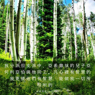 Picture 03 - 出 埃 及 記 31:6 CUVT - 我 分 派 但 支 派 中 、 亞 希 撒 抹 - Bible Verse Picture