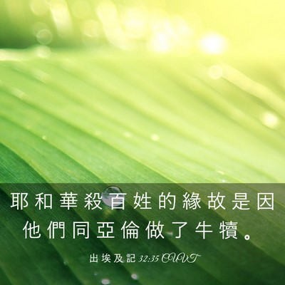 Picture 03 - 出 埃 及 記 32:35 CUVT - 耶 和 華 殺 百 姓 的 緣 故 是 因 他 - Bible Verse Picture
