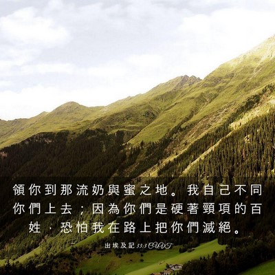 Picture 03 - 出 埃 及 記 33:3 CUVT - 領 你 到 那 流 奶 與 蜜 之 地 。 我 - Bible Verse Picture