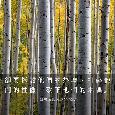 Picture 03 - 出 埃 及 記 34:13 CUVT - 卻 要 拆 毀 他 們 的 祭 壇 ， 打 碎 - Bible Verse Picture