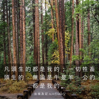 Picture 03 - 出 埃 及 記 34:19 CUVT - 凡 頭 生 的 都 是 我 的 ； 一 切 牲 - Bible Verse Picture