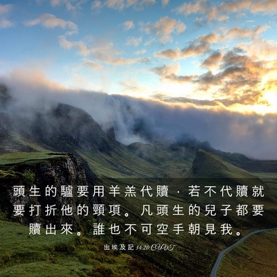 Picture 03 - 出 埃 及 記 34:20 CUVT - 頭 生 的 驢 要 用 羊 羔 代 贖 ， 若 - Bible Verse Picture