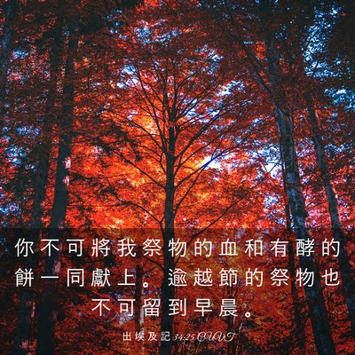 Picture 03 - 出 埃 及 記 34:25 CUVT - 你 不 可 將 我 祭 物 的 血 和 有 酵 - Bible Verse Picture