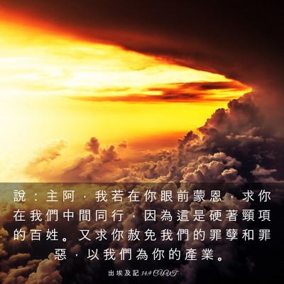 Picture 03 - 出 埃 及 記 34:9 CUVT - 說 ： 主 阿 ， 我 若 在 你 眼 前 蒙 - Bible Verse Picture
