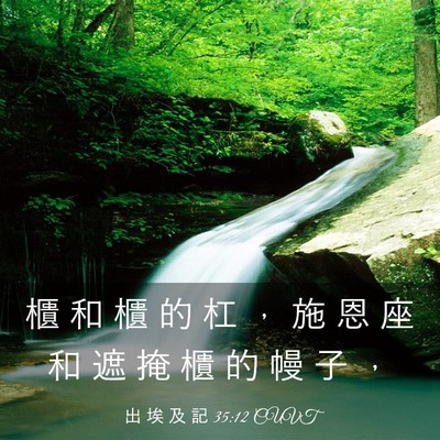 Picture 03 - 出 埃 及 記 35:12 CUVT - 櫃 和 櫃 的 杠 ， 施 恩 座 和 遮 掩 - Bible Verse Picture