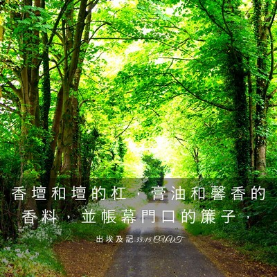 Picture 03 - 出 埃 及 記 35:15 CUVT - 香 壇 和 壇 的 杠 ， 膏 油 和 馨 香 - Bible Verse Picture