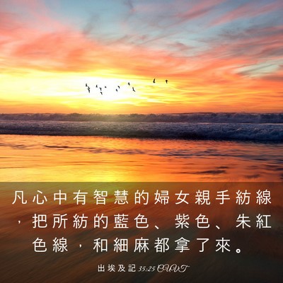 Picture 03 - 出 埃 及 記 35:25 CUVT - 凡 心 中 有 智 慧 的 婦 女 親 手 紡 - Bible Verse Picture