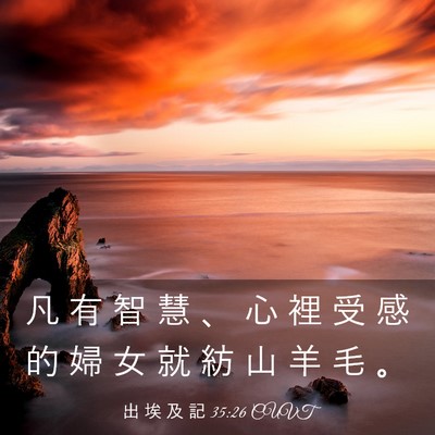 Picture 03 - 出 埃 及 記 35:26 CUVT - 凡 有 智 慧 、 心 裡 受 感 的 婦 女 - Bible Verse Picture