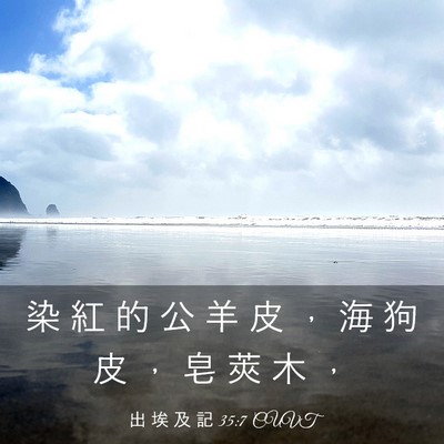 Picture 03 - 出 埃 及 記 35:7 CUVT - 染 紅 的 公 羊 皮 ， 海 狗 皮 ， 皂 - Bible Verse Picture