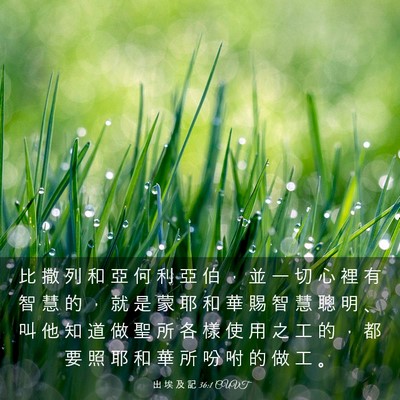 Picture 03 - 出 埃 及 記 36:1 CUVT - 比 撒 列 和 亞 何 利 亞 伯 ， 並 一 - Bible Verse Picture
